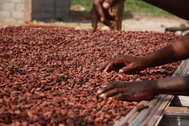 Cacaobarometer legt vinger op de zere plek