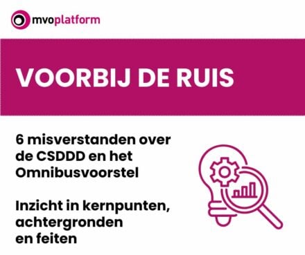 publication cover - Voorbij de ruis: 6 misverstanden over het Omnibusvoorstel en de CSDDD